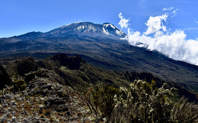 We Came, We Climbed, We Sang: Asante Sana to the Humble Heroes of Kilimanjaro